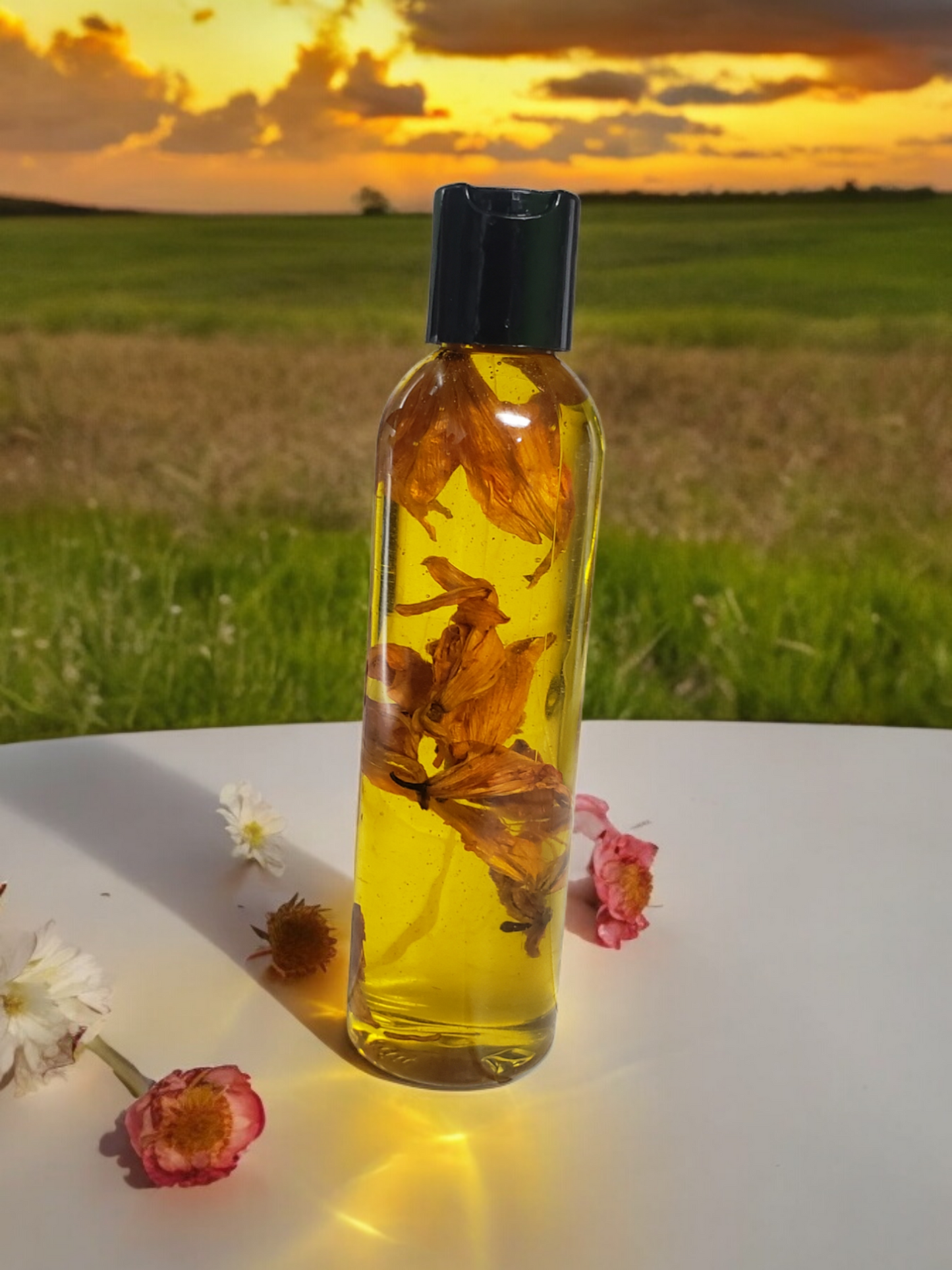 Orange Zest Infused Body Oil (8 oz)